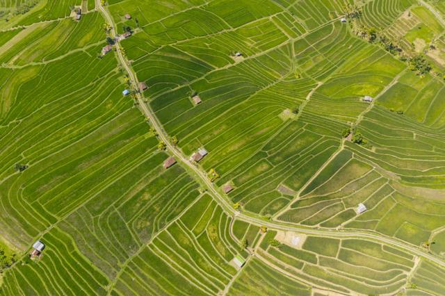 国家补贴农村项目实施中存在的问题(乡村振兴可申报的43项国家项目补贴)