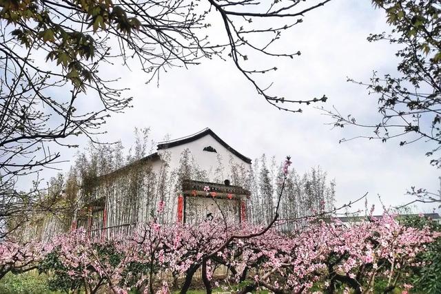 适合农村发展的项目有哪些(中国10个美丽乡村，用设计重塑艺术乡村)