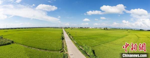 耕地保护红线(广西全面实行耕地年度“进出平衡”牢守耕地保护红线)