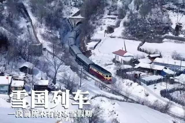 途游旅游網(一趟列車看盡霧凇、林海和雪原，中國最美列車帶你解除北國冰雪)