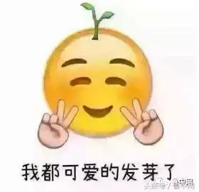 顺丰上门取件电话号码查询(必备！医院、交通、快递、银行淄博最全生活信息电话名单)