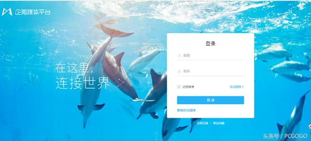 企鹅号自媒体怎么赚钱(让你见识一下企鹅号日均600块的存在，附运营攻略！)