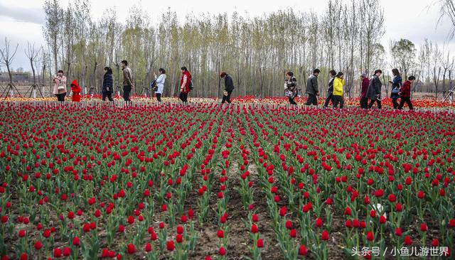 景区卖啥东西最畅销除了吃的(这种生意在旅游景区卖火了，日卖2000多元)