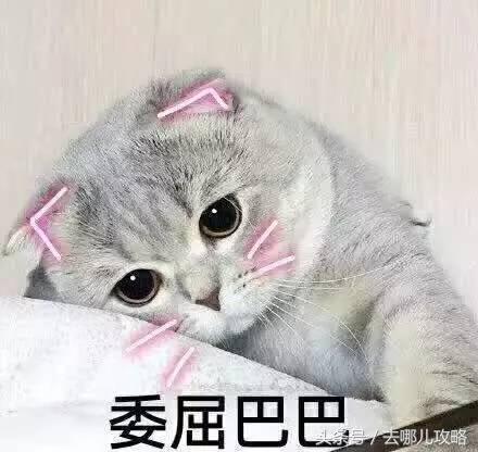 便宜机票查询预订:小驼干货｜怎样买机票最划算？一分钟教你订到最便宜的机票！