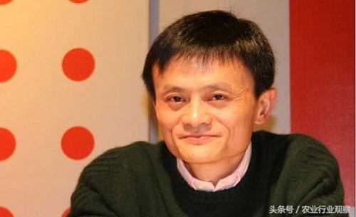 淘宝属于b2c模式吗(三农日报｜村淘S2B2C模式是何物；温氏发布养殖行业5点判断)