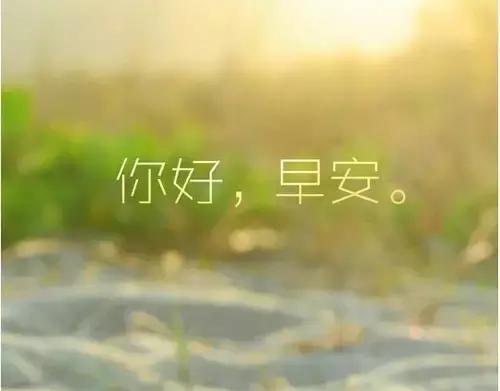 早安心语图片 微商女人(早安心语图片 早安正能量微商短句子)