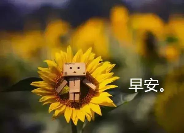 微商做活动的宣传语怎么写(微商励志经典语录句子)