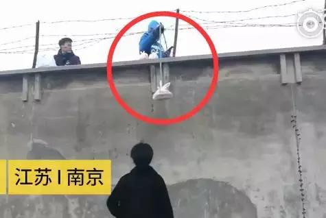 “隔墙吊绳送外卖”是封闭管理下的“蛋”(外卖小哥爬墙送外卖)