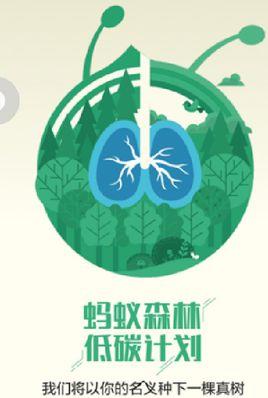 蚂蚁森林能量成熟时间(支付宝的蚂蚁森林的绿色能量每天早上最早几点可以收获？)