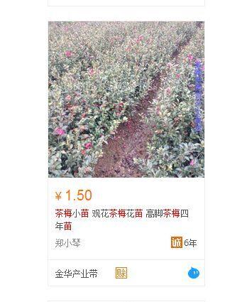 诚e赊是什么东西(阿里巴巴推出新交易方式：诚e赊 一种欠款的交易方式。你了解吗)