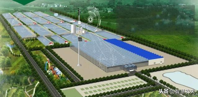 农业标准化学院(这就是智慧农业：生产智能化、加工自动化、管理标准化)