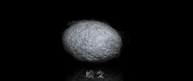 73cm腰围是多少尺(励志：从别人嘴里的“一个胖子”到别人眼中的“一道闪电”之蜕变)