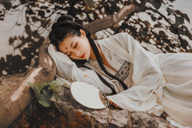 兽语翻译器嗷呜(小说：女孩穿越兽人大陆，她舒服窝在白虎怀里，听他讲兽族传说)