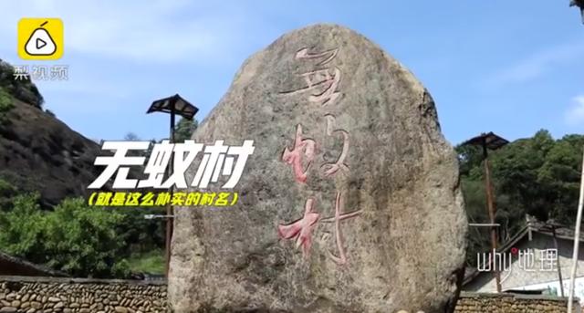 防蚊虫的树木和花草(江西无蚊村，种满“驱蚊树”，一年四季没蚊子)