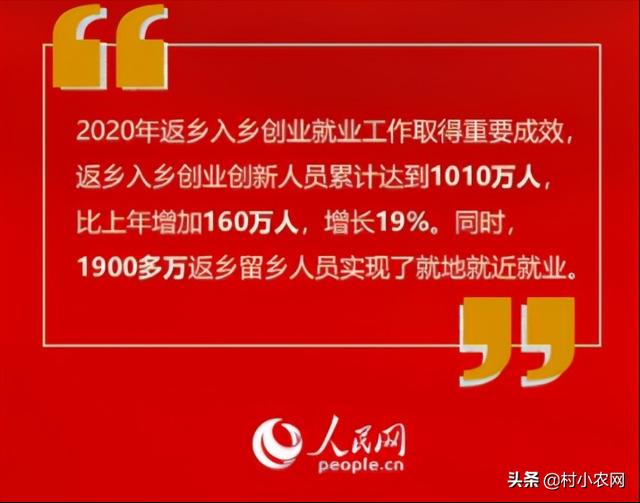 养殖什么最赚钱(回乡创业养啥最赚钱？这6个农村养殖项目，总有一个能让你赚到钱)
