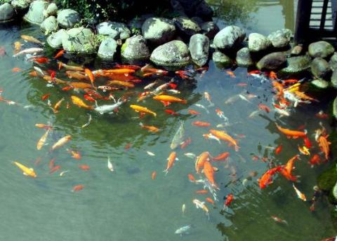 拉人进微信群怎么拉不令人反感(混群加人不被踢？而且是主动吸粉，100%管用)