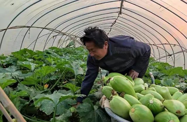 农村致富小项目来钱快(“有钱途”的3个农村创业项目，收入或许比打工高，你了解吗？)