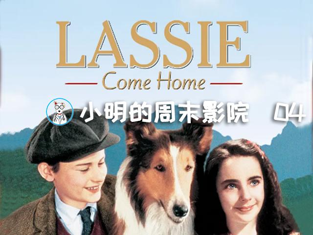 小明的宠物影评推荐——《灵犬莱西》(灵犬莱西)