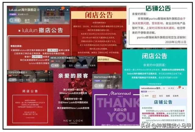 淘宝代购可信吗知乎(为什么不建议你们找代购买东西？)