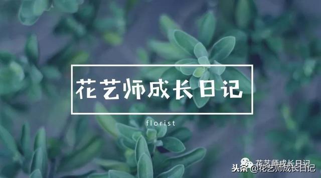 开花店去哪里进货(开花店那些事儿｜花店进货渠道选择全攻略)