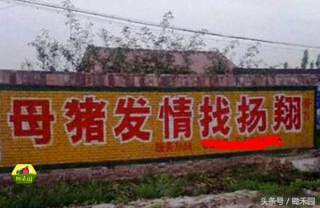 农村搞笑段子素材(那些农村才有的雷人标语，笑得肚子疼！最强段子手原来都在这！)