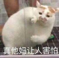 微商朋友圈文案(“确认过眼神，是买货的人”爆笑微商文案最全合集)