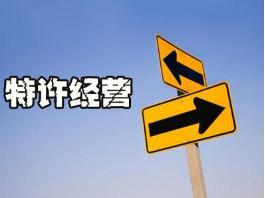 特许加盟店财务管理(连锁特许经营管理手册（货品、门店、售后、运营、人力、财务）)