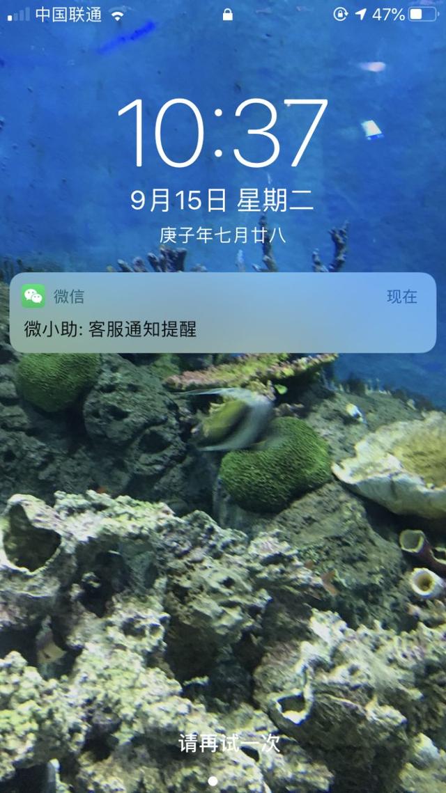 公众号推送消息不提醒(微信公众号粉丝发消息过来没有提醒怎么解决？)