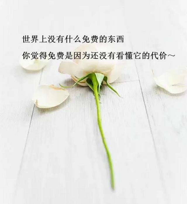 微信朋友圈签名简短(适合发朋友圈的精美心情短句，适合各种心情，句句可当签名)