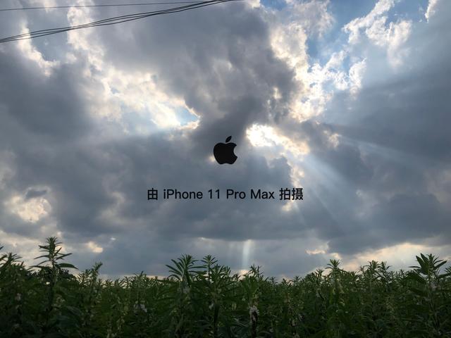 苹果照片水印怎么加(iPhone也能加相机水印了，多种模式任你选择，快来体验吧)