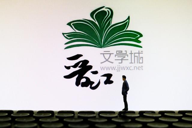 文学吧 不像以前了:过山车上的晋江文学城