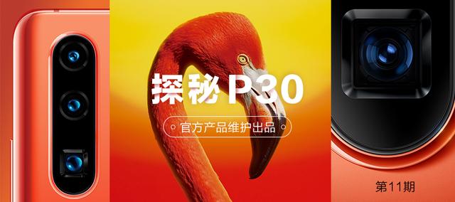 华为骚扰拦截怎么解除花粉论坛(手机遭伪基站攻击？华为P30系列靠这一招轻松解决)