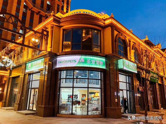 宠物用品代理怎么做(开宠物用品店进货渠道？)