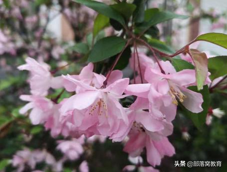 怎么提高图片清晰度ps(用PS快速将一张模糊不清晰的照片变清晰，简单5步就好)