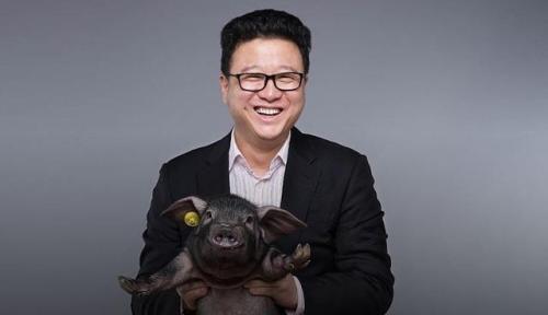 网易养猪场:网易养猪规模再度扩大！第三家猪场落户绍兴，预计年出栏50万头