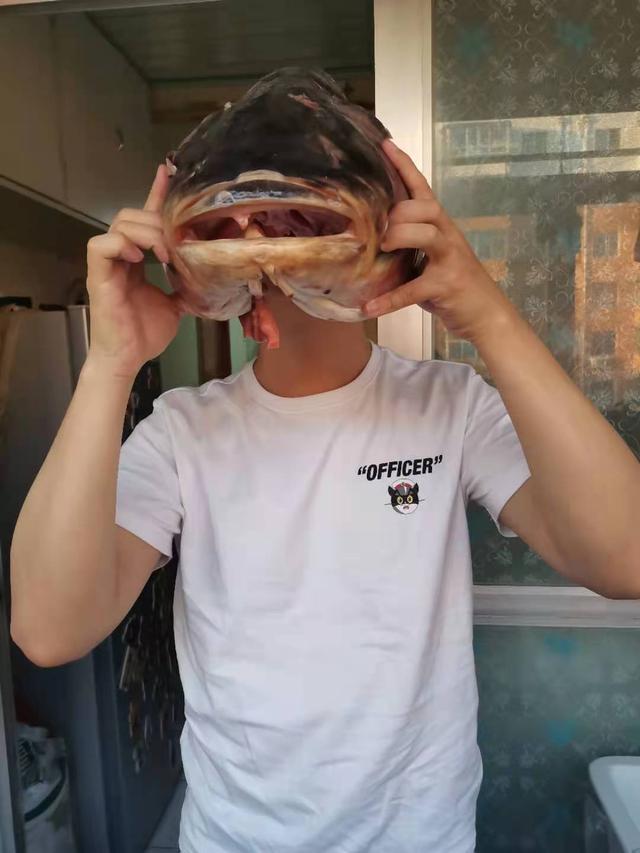 最大的淡水鱼是什么(最大的淡水鱼能有多大？可能比大白鲨还长，不过可能被人类杀光了)