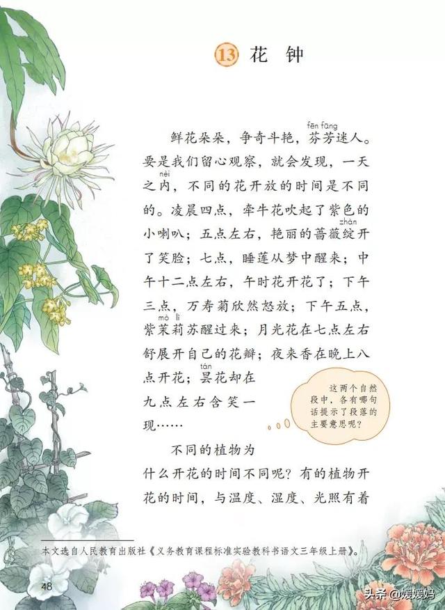 鲜花朵朵争奇斗艳芬芳迷人要是我们留心观察(三年级下册语文第13课《花钟》图文详解及同步练习)