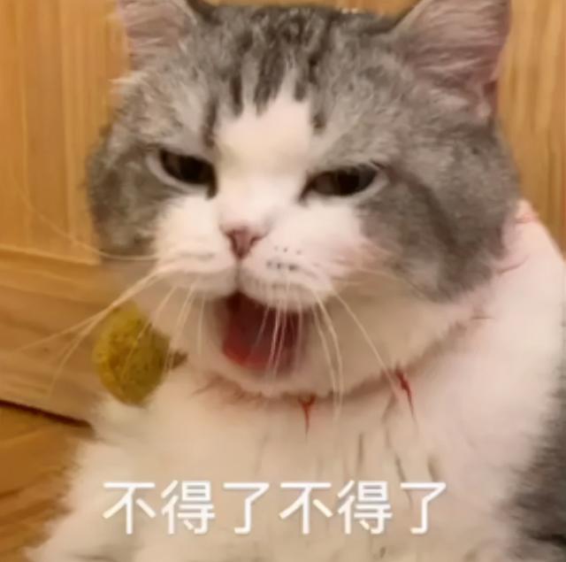卓伟爆料吴秀波睡小花(“师奶杀手”吴秀波的猎艳史，一生划船不用桨，全靠浪…)