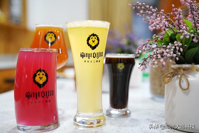 自制啤酒设备价格优荐大帝科技上市公司(齐活 如何选购精酿啤酒设备这一篇全了)