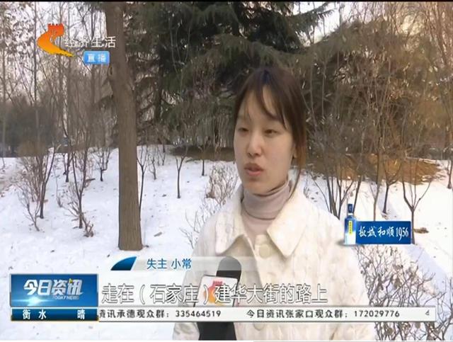 查找手机位置 vivo(六大功能加持，找回丢失的vivo手机就是这么简单)
