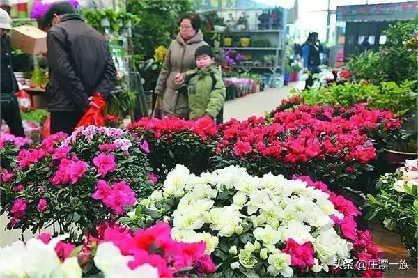 石家庄小饰品批发市场(石家庄最地道的年货市场！庄里人办年货就去这吧)