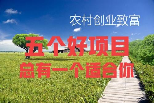 最适合农村的致富项目(分享五个农村致富好项目，总有一个适合你，请收藏)
