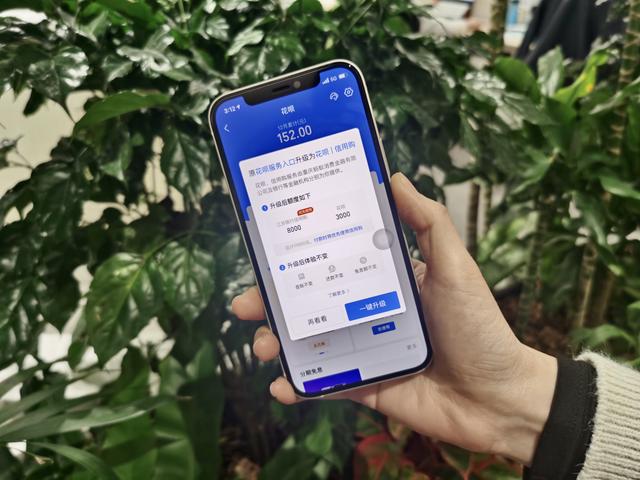 花呗如何开通信用购(网友热议！花呗启动品牌隔离工作专注中小额，银行等机构独立提供“信用购”)