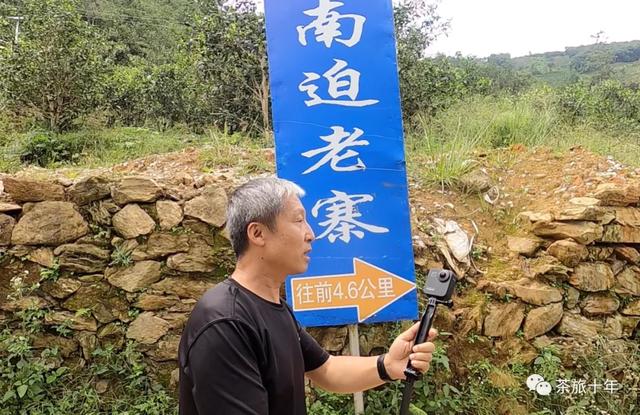 想做茶叶生意怎么入门(如何开始茶行业的生意！两个能力最重要)