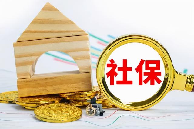 社保号查询不到(交了社保为什么查询不到缴费记录？怎么办？)