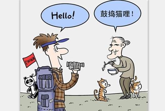 猫宁是什么意思:同学，你问好的方式很独特，老师就想问你鼓捣猫宁是什么？