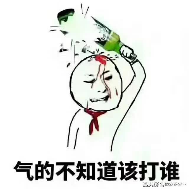 怎么解除微信实名认证账号忘了(微信新增查询自己名下实名认证的帐号功能，非本人办理尽快删掉。)