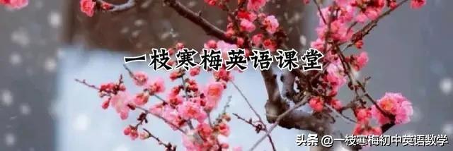 lift up(人教版丨八年级上册英语第11单元知识点精讲！)