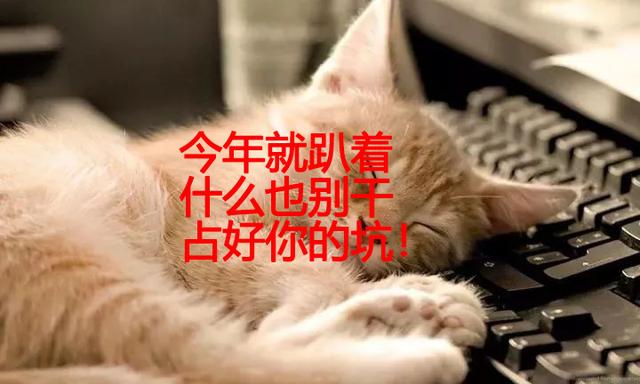 今年好开店行业创业(有人问我今年适合做什么生意？我的回答来了)
