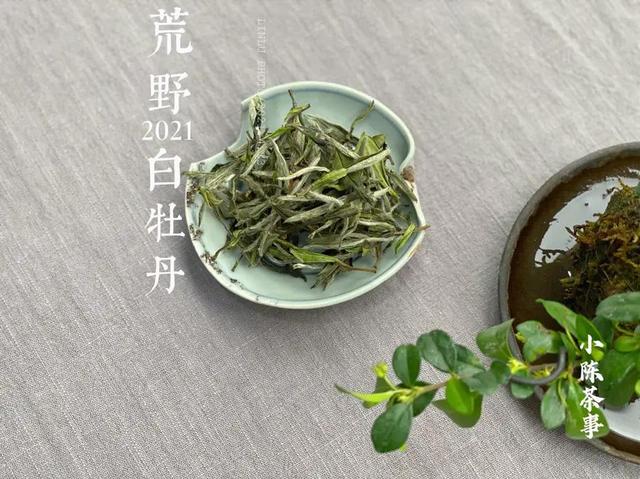 茶叶应该这样卖txt下载(揭秘茶掌柜卖茶的套路，记住3点，避免踩坑，在哪买茶都不会被骗)